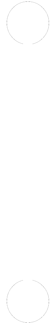 timeline